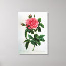 Pesquisar por pierre impressão de canvas Flor