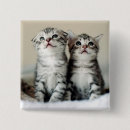 Pesquisar por gatinha botons Gatinho