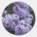 Pesquisar por aglomerado adesivos Aglomerado de flores