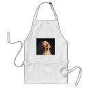 Pesquisar por beagle aventais Animal