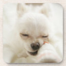 Pesquisar por sofá porta copos Bonito