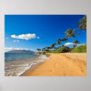 Pesquisar por praia tropical pôsteres Hawaii