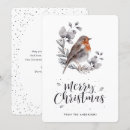 Pesquisar por robin bird cartoes Neve