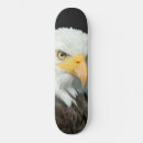 Pesquisar por eagle skates Natureza