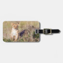 Pesquisar por cubos bagagem tags Gato grande