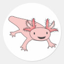 Pesquisar por salamandra adesivos Axolotl