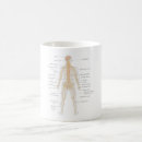 Pesquisar por corpo humano canecas Diagrama