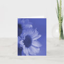 Pesquisar por desenho flor margarida cartoes Bonito