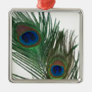 Pesquisar por pena do pavão ornamentos Verde