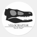 Pesquisar por velociraptor adesivos Dinossauros