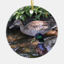 Pesquisar por patos selvagens ornamentos Galinha