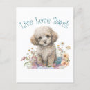 Pesquisar por para amigos postais cartoes postais Crianças