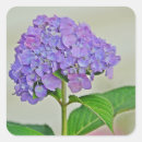 Pesquisar por lavanda artesanato material Rasparia