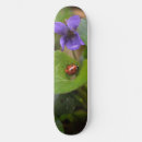 Pesquisar por ladybug skates Inseto