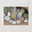 Pesquisar por cargo cartoes postais Natureza