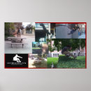 Pesquisar por parkour pósteres pôsteres Freerunning