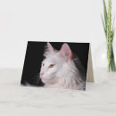 Pesquisar por angora Gato