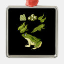 Pesquisar por biologia ornamentos Sapo