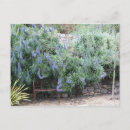 Pesquisar por muro cartoes postais Jardim