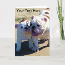 Pesquisar por buldogue inglês cartoes Cães