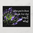 Pesquisar por palavras sábias cartoes postais Motivação