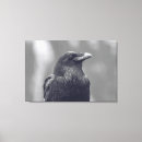 Pesquisar por pássaro preto impressão de canvas Animal