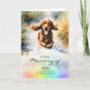 Pesquisar por o de cocker spaniel cartoes For pets