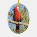 Pesquisar por cardinal ornamentos Foto