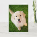 Pesquisar por golden retriever puppy cartoes Animal