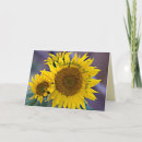 Pesquisar por imagens do girassol cartoes Flores