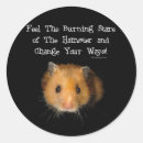 Pesquisar por hamster adesivos Humor