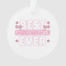 Pesquisar por netas ornamentos Rosa