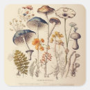 Pesquisar por mushroom adesivos Samambaia