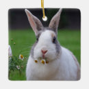 Pesquisar por coelho da páscoa ornamentos Animal