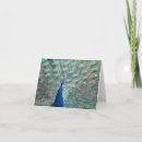 Pesquisar por birds cartoes Thanks