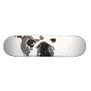 Pesquisar por buldogue skates Animais de estimação