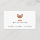 Pesquisar por face cartao de visita Cão