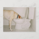 Pesquisar por banheiro cartoes postais Interior