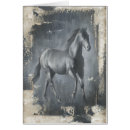 Pesquisar por correntes cartoes postais Cavalo selvagem