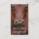 Pesquisar por boi cartao de visita Rancho