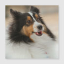 Pesquisar por chines ano novo cartoes Inverno