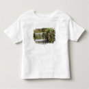 Pesquisar por cachoeira camisetas Água