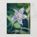 Pesquisar por flor natural cartoes postais Natureza