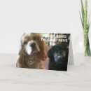 Pesquisar por lhasa apso cartoes Fotografia