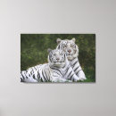Pesquisar por tigre branco impressão de canvas Gato