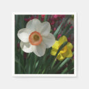 Pesquisar por flor amarela do daffodil Primavera