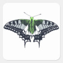 Pesquisar por bandeira da borboleta adesivos Orgulho