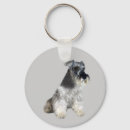 Pesquisar por schnauzers chaveiros Terrier