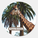 Pesquisar por girafa adesivos Vida selvagem