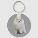 Pesquisar por pom chaveiros Cachorros